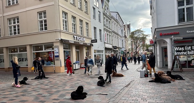 Stadttraining