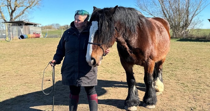 Hundeschule Schlage & Tier-/Therapiezentrum Mecklenburg - Vorpommern