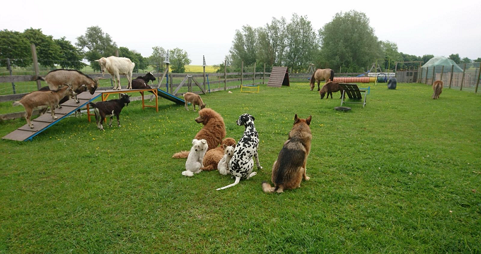 Im großen Team