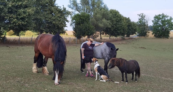 Training am Pferd